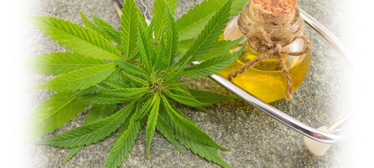 closeup of cannabis plant leaves next to stethoscope and bottle of oil