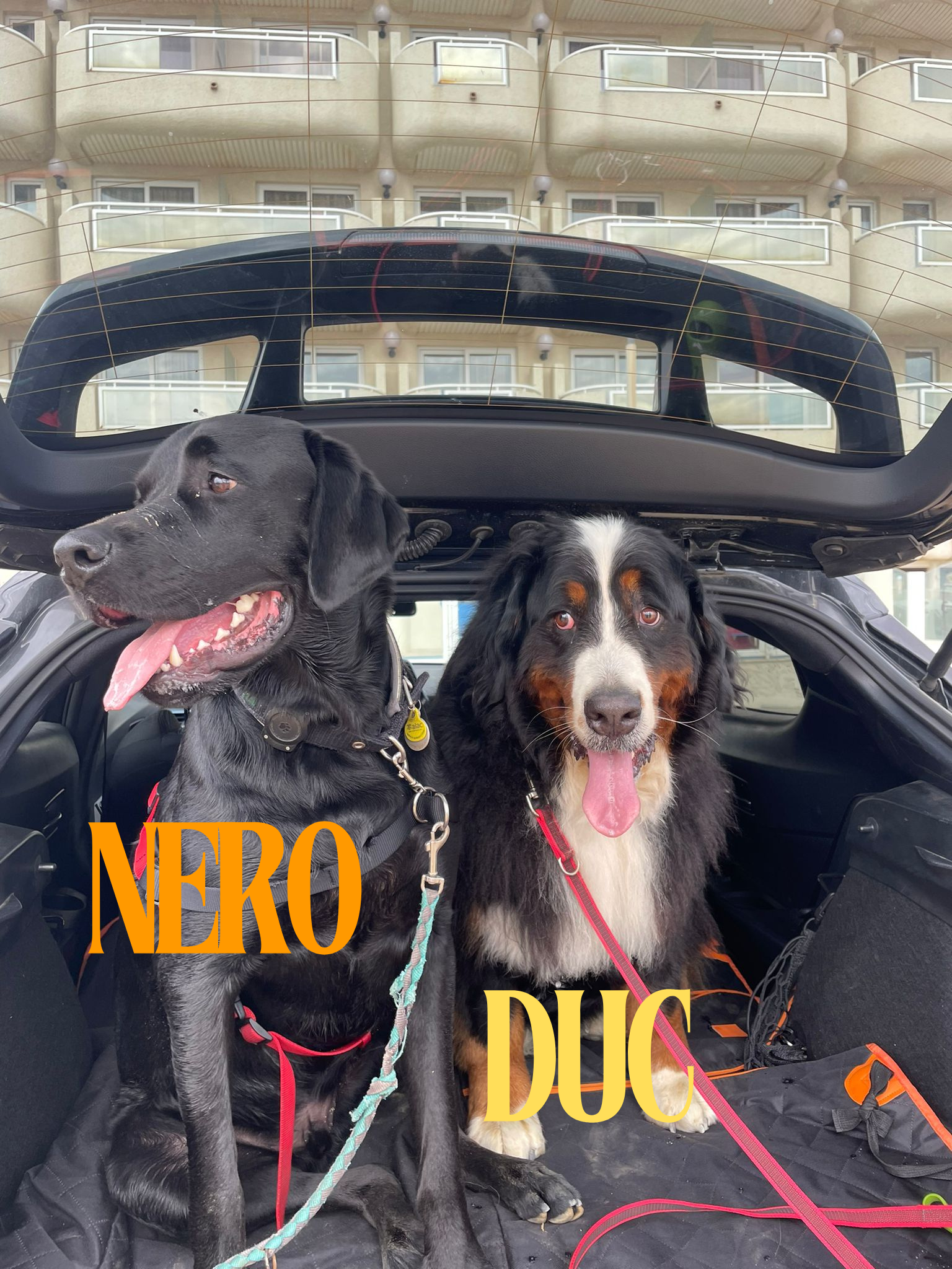Duc i Nero