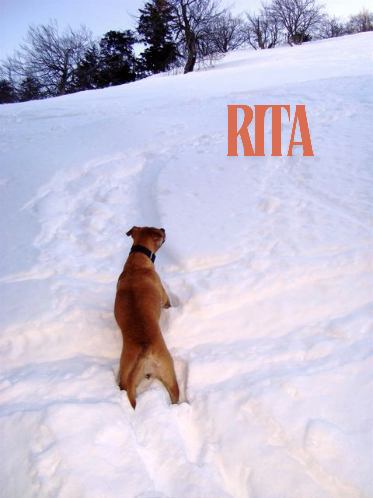 Rita a la neu