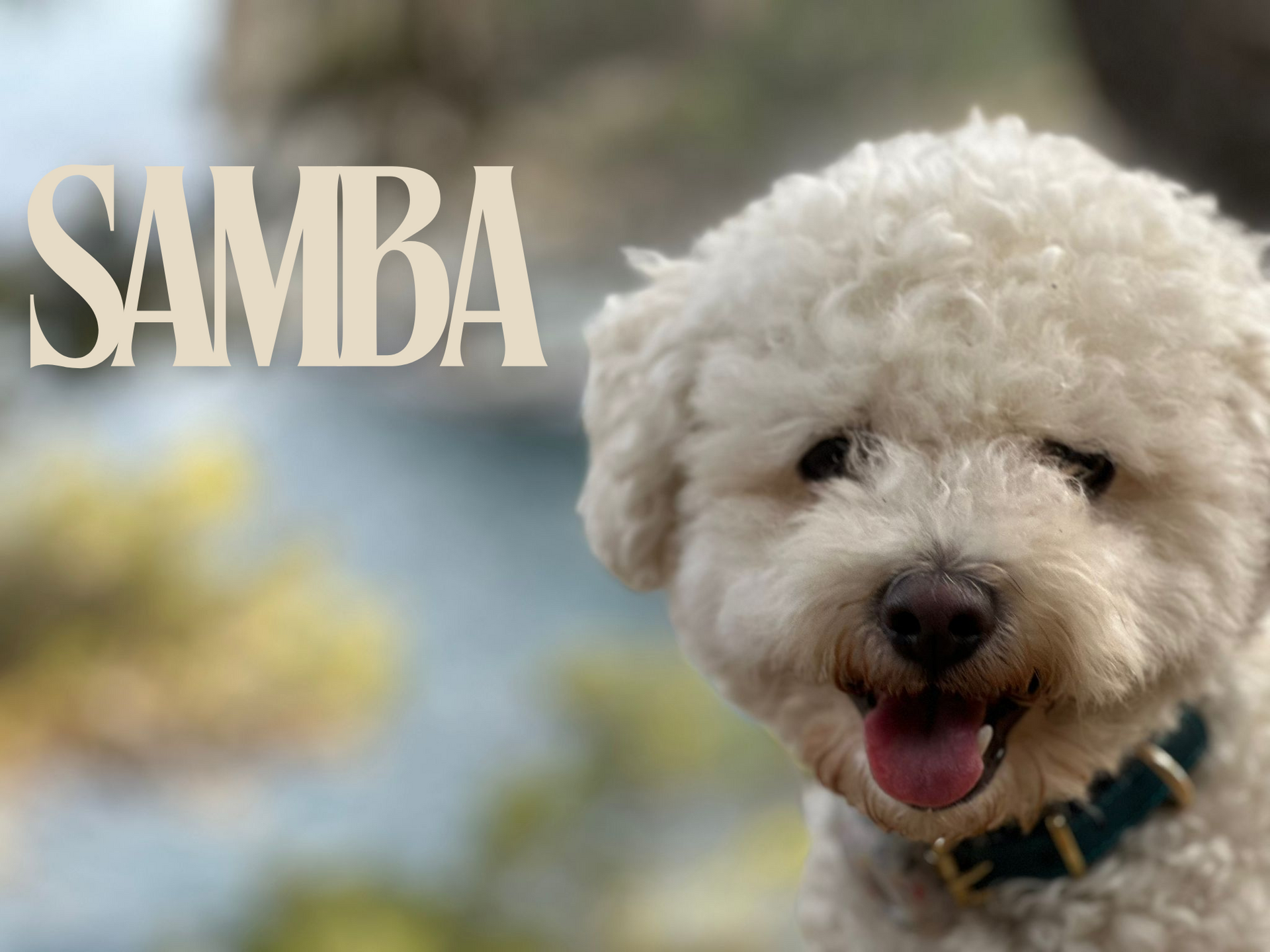 Samba