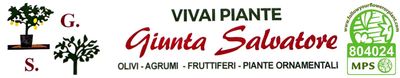 Logo Vivai Giunta