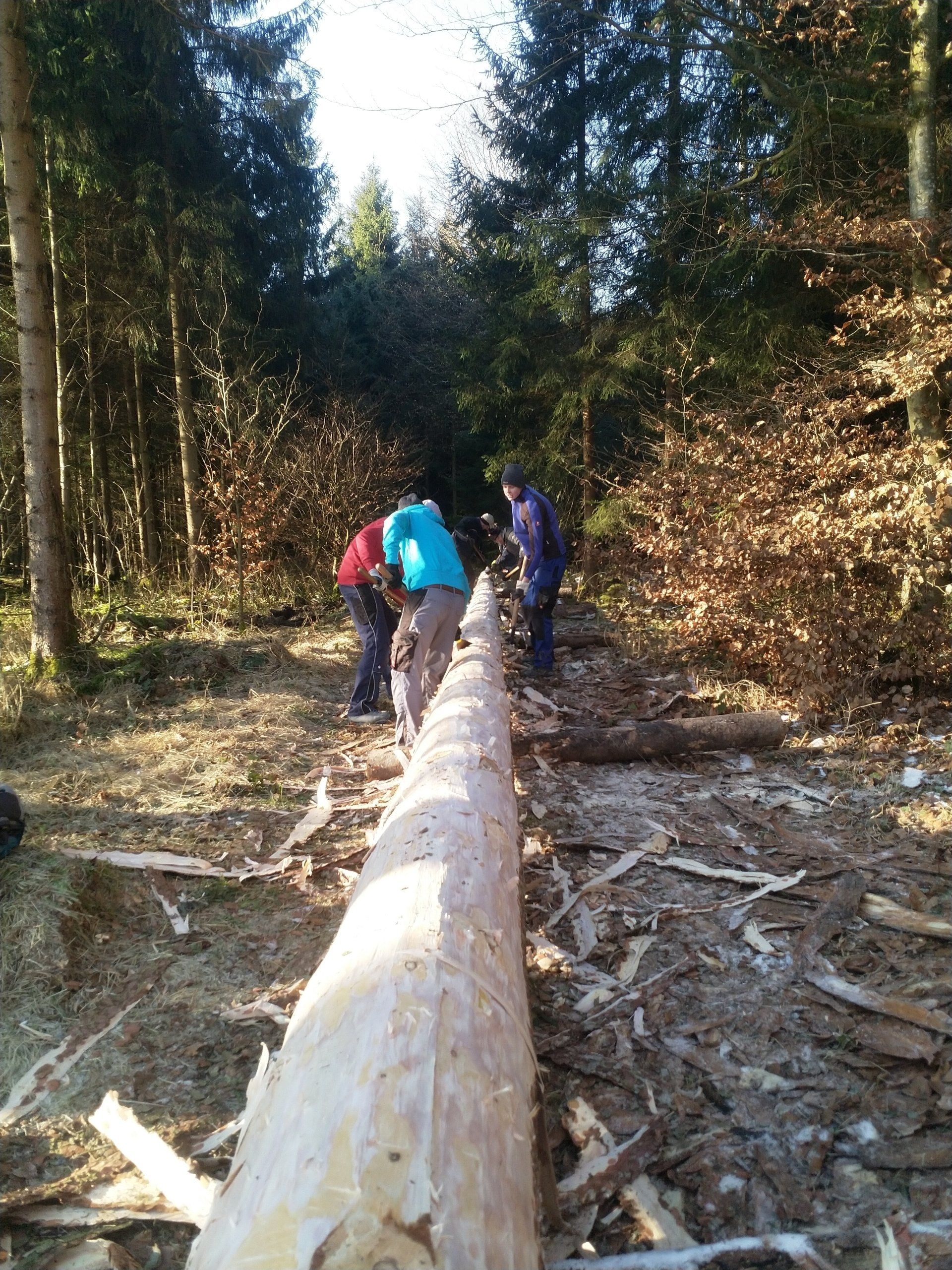 Maibaum