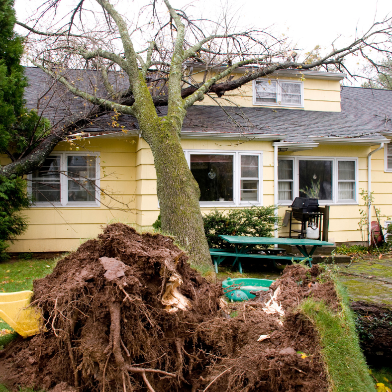 We Buy Damaged Homes for Cash