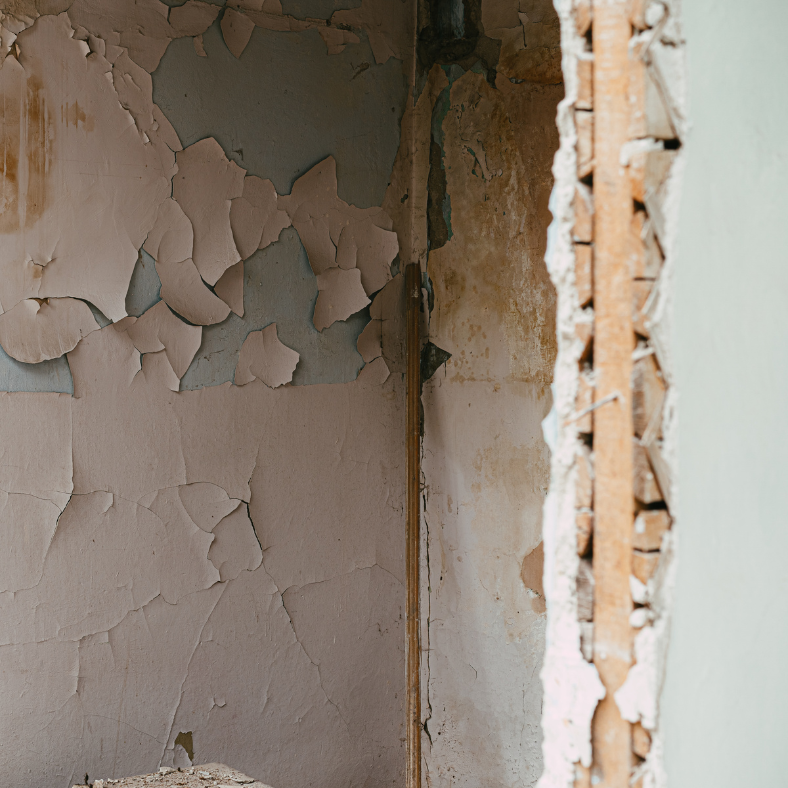 We Buy Homes in Disrepair