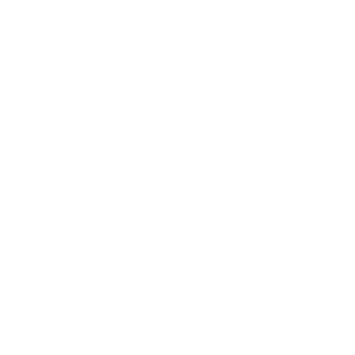 Vietnam Veterans of America logo