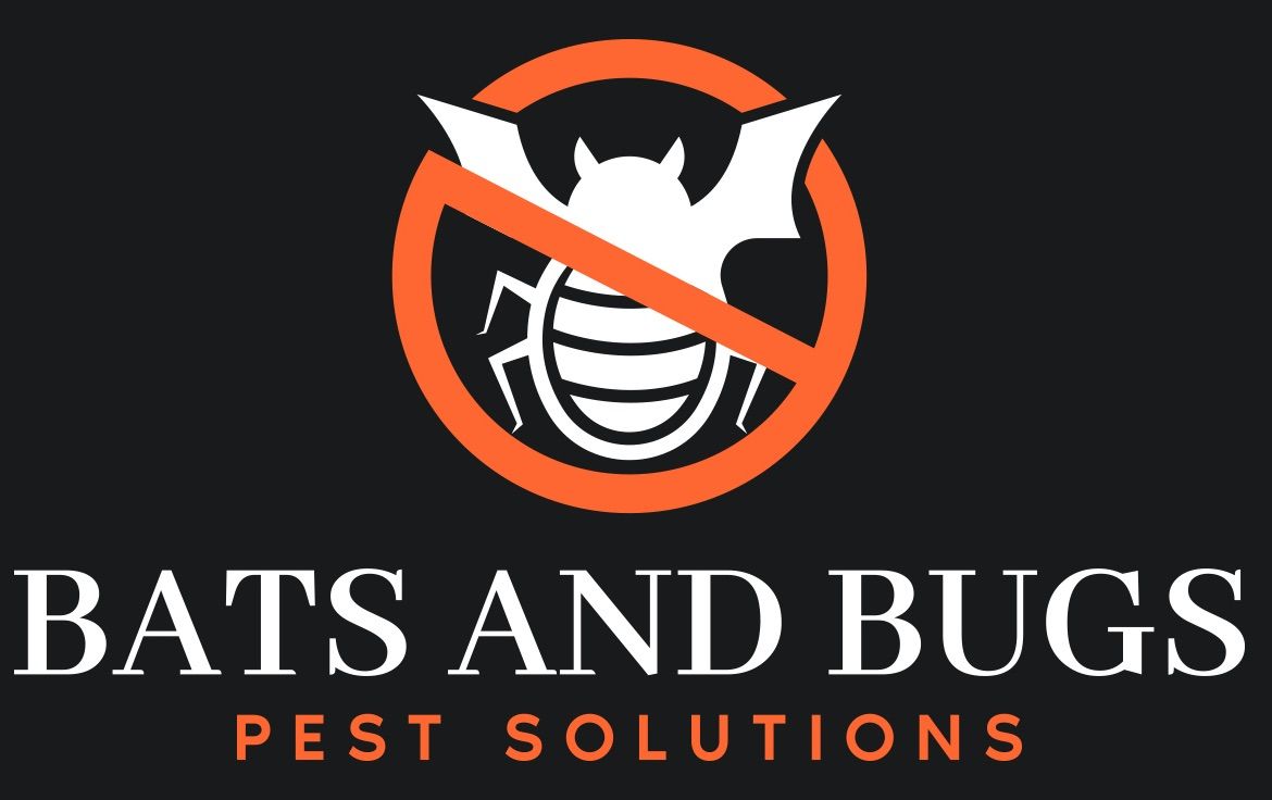 Pest Control Des Moines, IA Bats and Bugs Pest Solutions