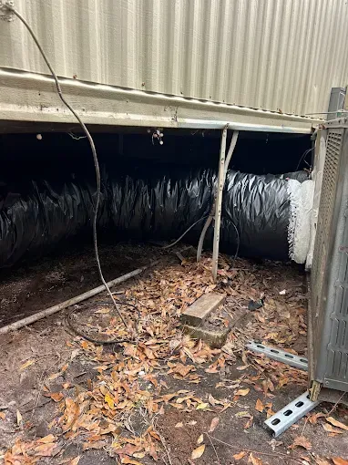 Crawlspace under a building with exposed black insulation, support posts, and leaf-covered ground