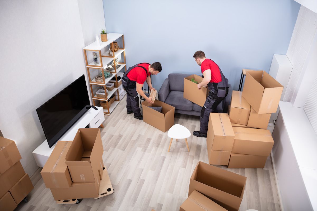 Two Men Are Moving a Couch in A Living Room Filled with Cardboard Boxes — Ocean Grove Removals In Colac, VIC