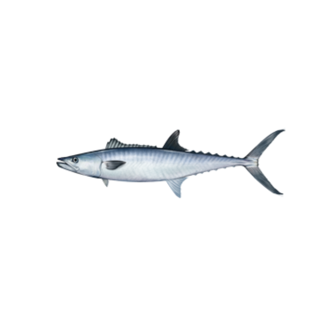 Kasoa Tropical Food Market Edmonton Flour