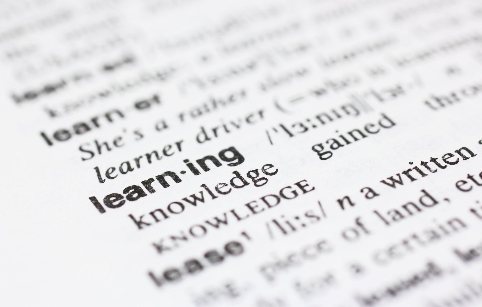lezione di inglese per adulti