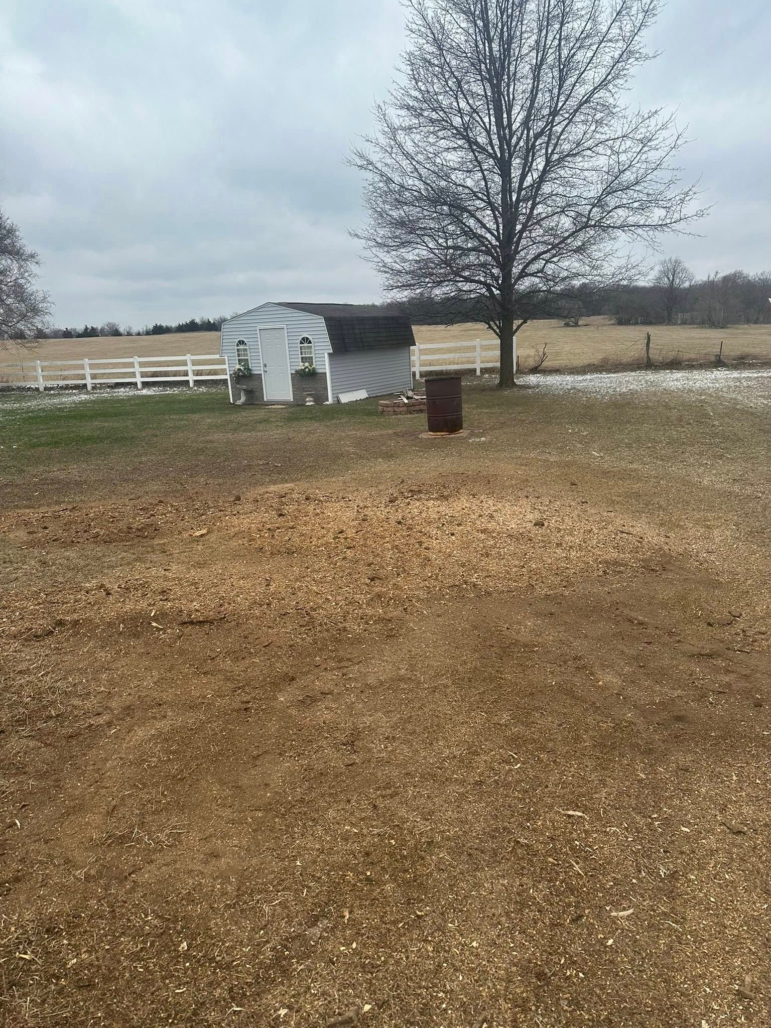A small white shed and tree in a rural yard with a brown field and cloudy sky