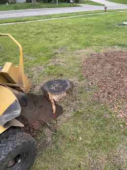 A stump grinder beside a freshly cut tree stump in a grassy yard near the street.
