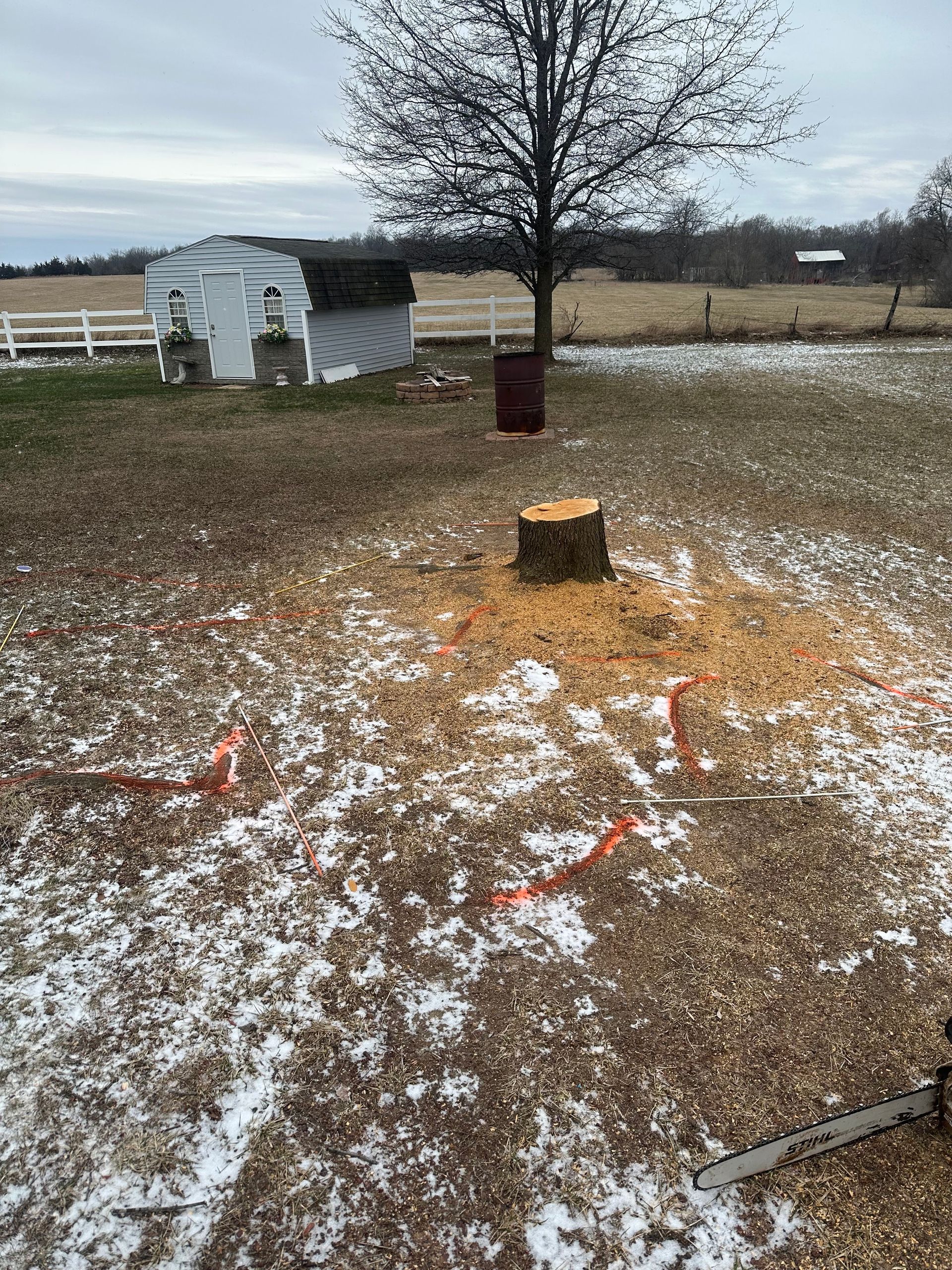 Snow-dusted yard with a tree stump, bare tree, small shed, and open field under a gray sky.