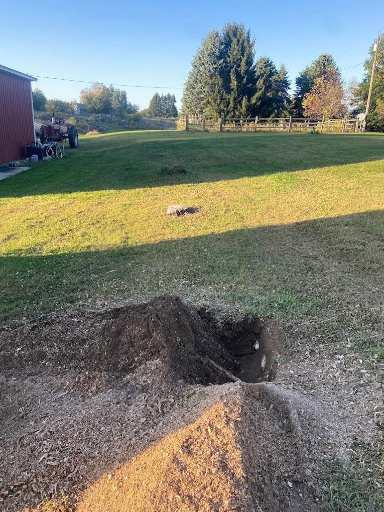 Backyard lawn with a dirt hole and mound in the foreground, trees and a house in the background.