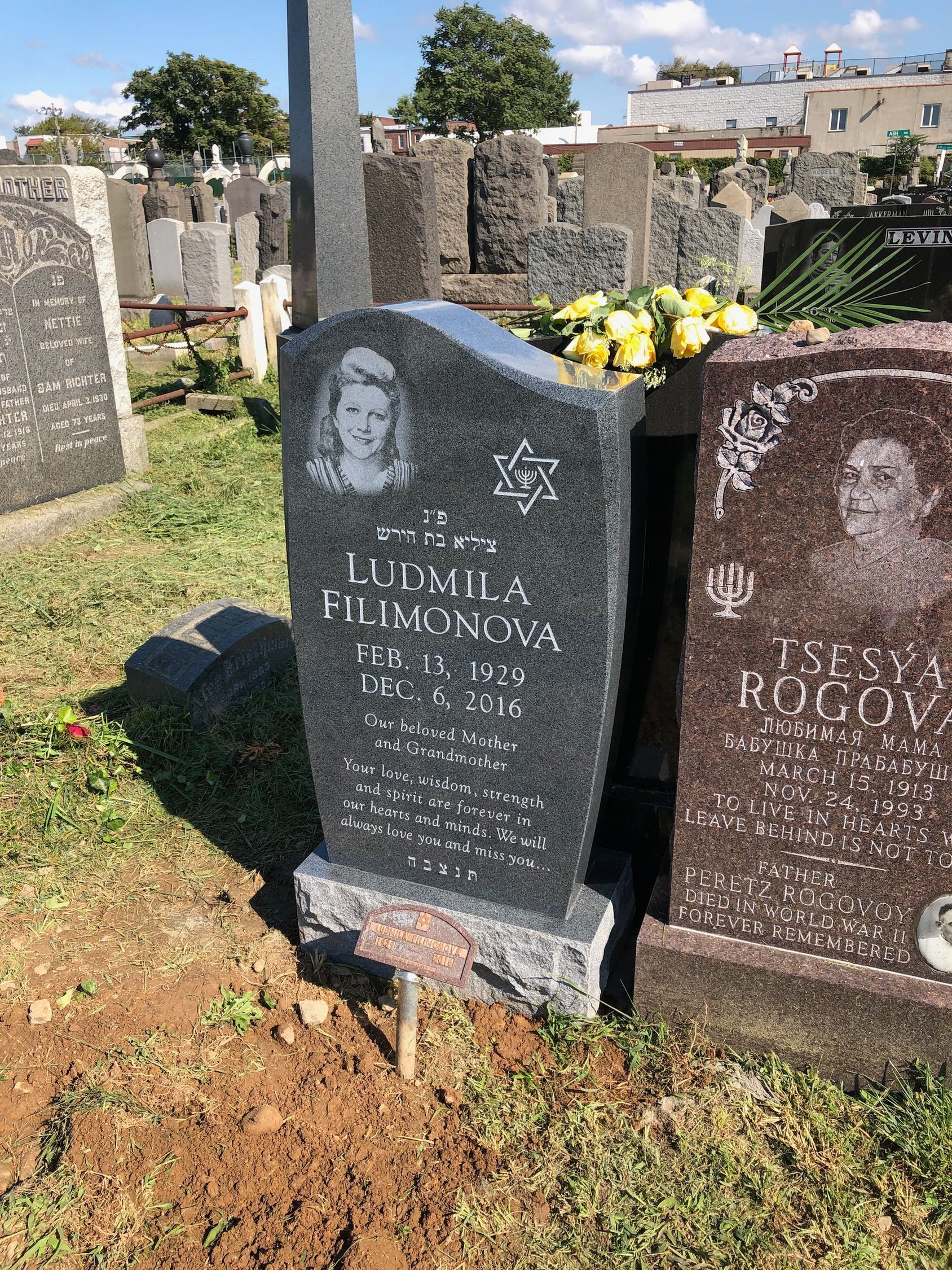 Filominova African Impala Black Polished 5 3/4 Serp Top Skinfrosted Lettering Etching Single Upright