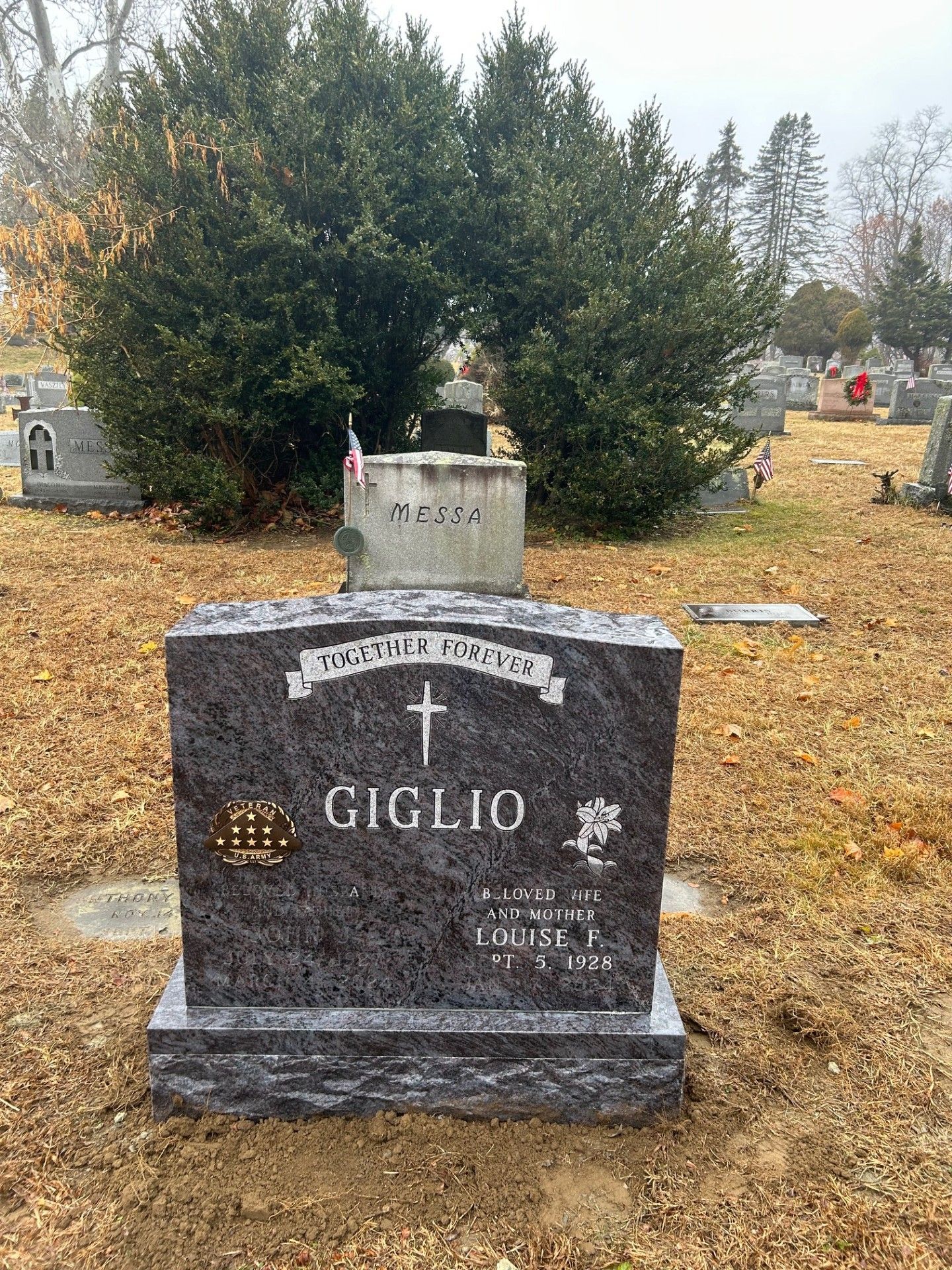 Giglio