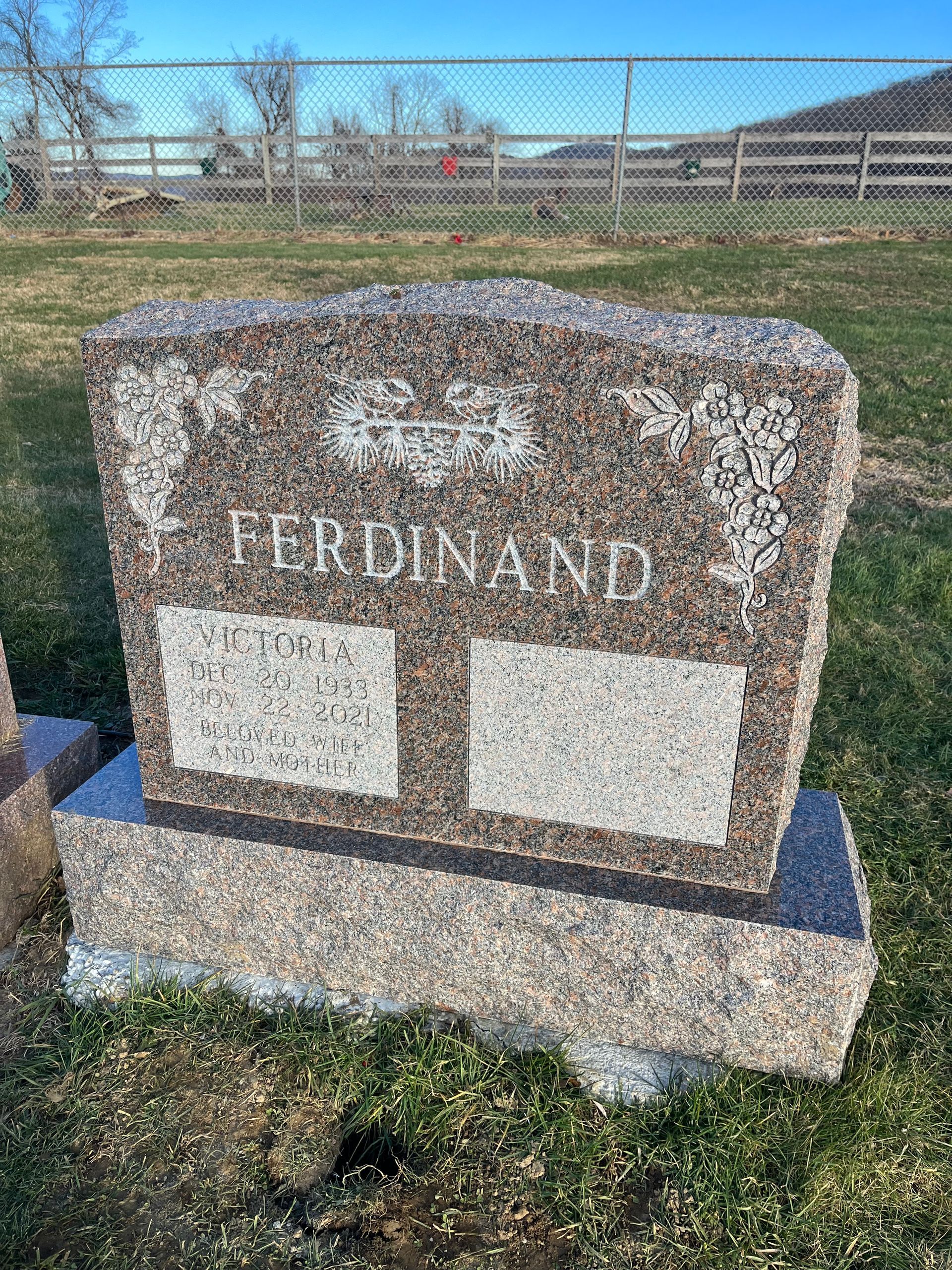Ferdinand Dakota Mahogany Double Wide Skin Frosted Lettering and Designs Serp Top BRP Sides Polished 2