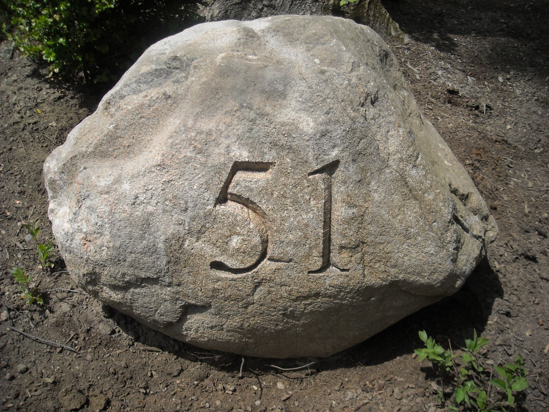 51