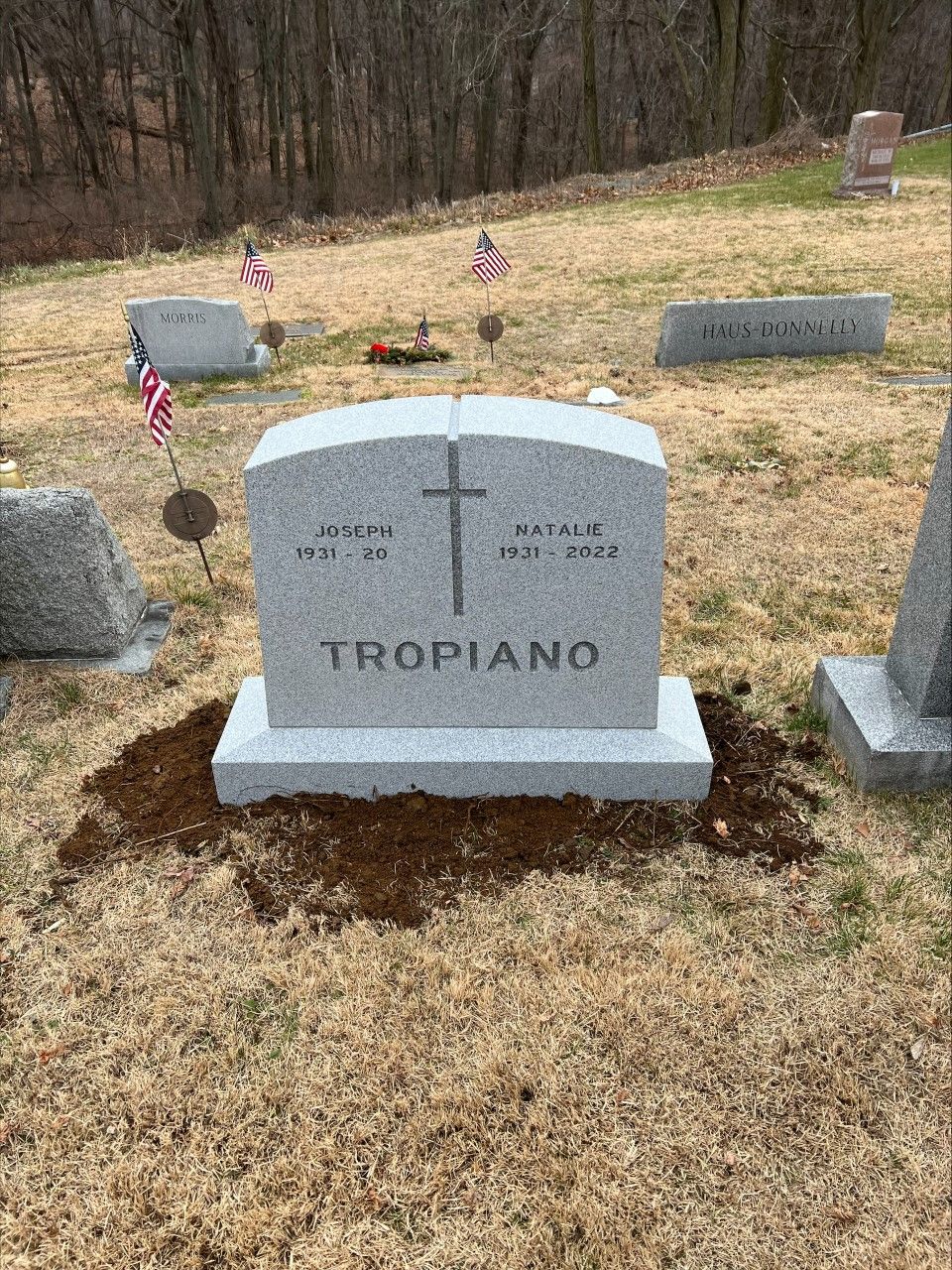Tropiano Barre Grey Checked Oval Top Chamfer Base Steeled 5 Deep Cut Lettering