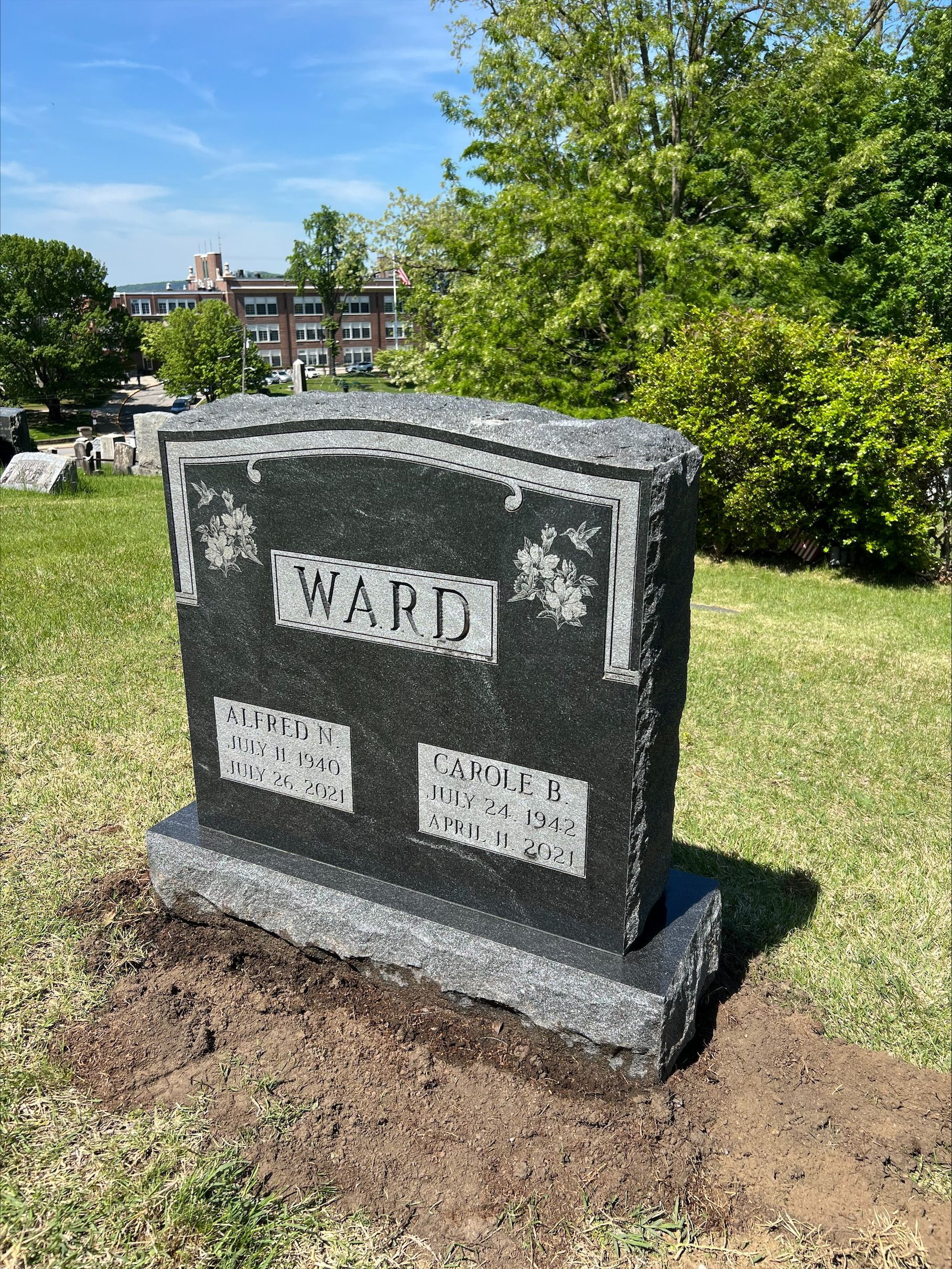 Ward Impala Black Etching Double Wide Serp Top