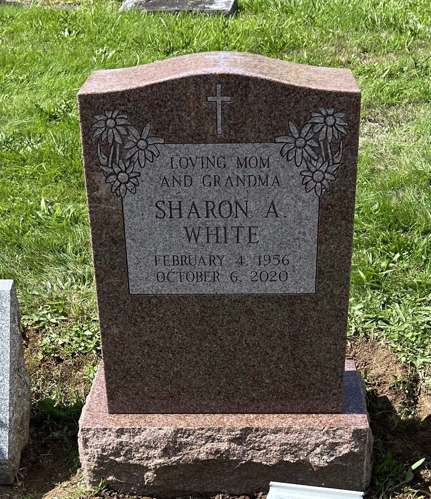 White Pink Single Upright Polished 5 Deep Cut Lettering Flat Carved Florals  Serp Top