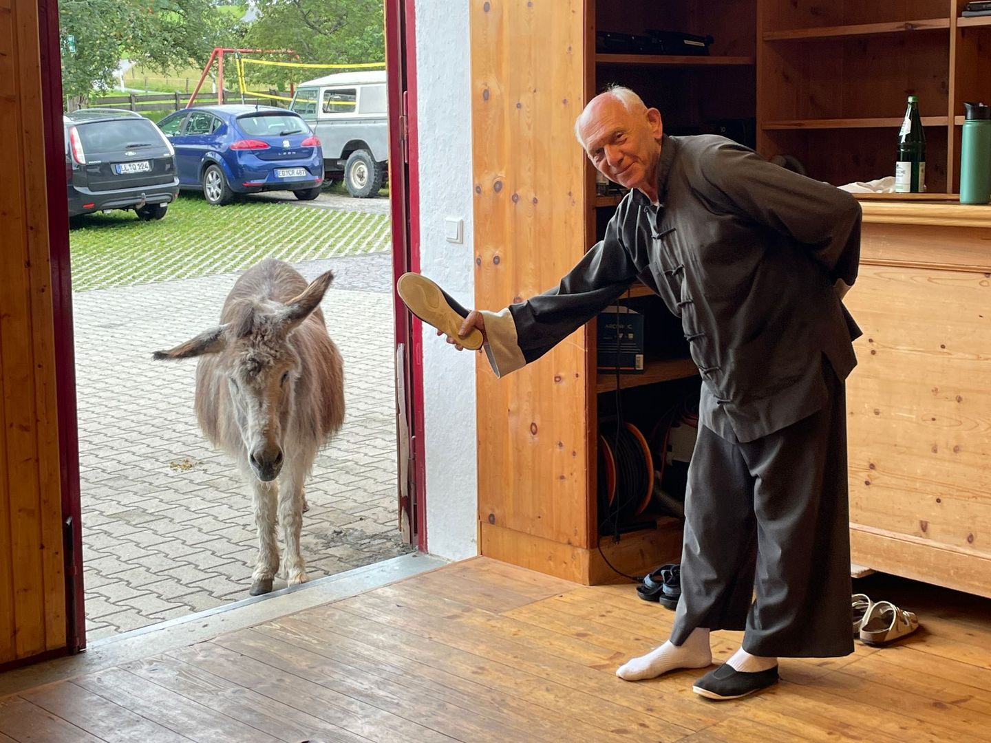 Esel und Harmonie