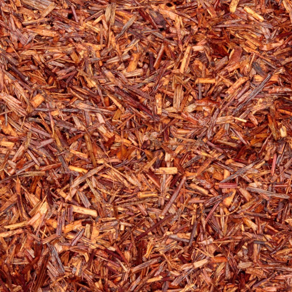 Rooibos