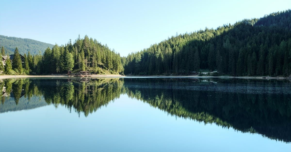 Ruhiger Bergsee, der Kiefernwald und blauen Himmel bei Sonnenaufgang spiegelt
