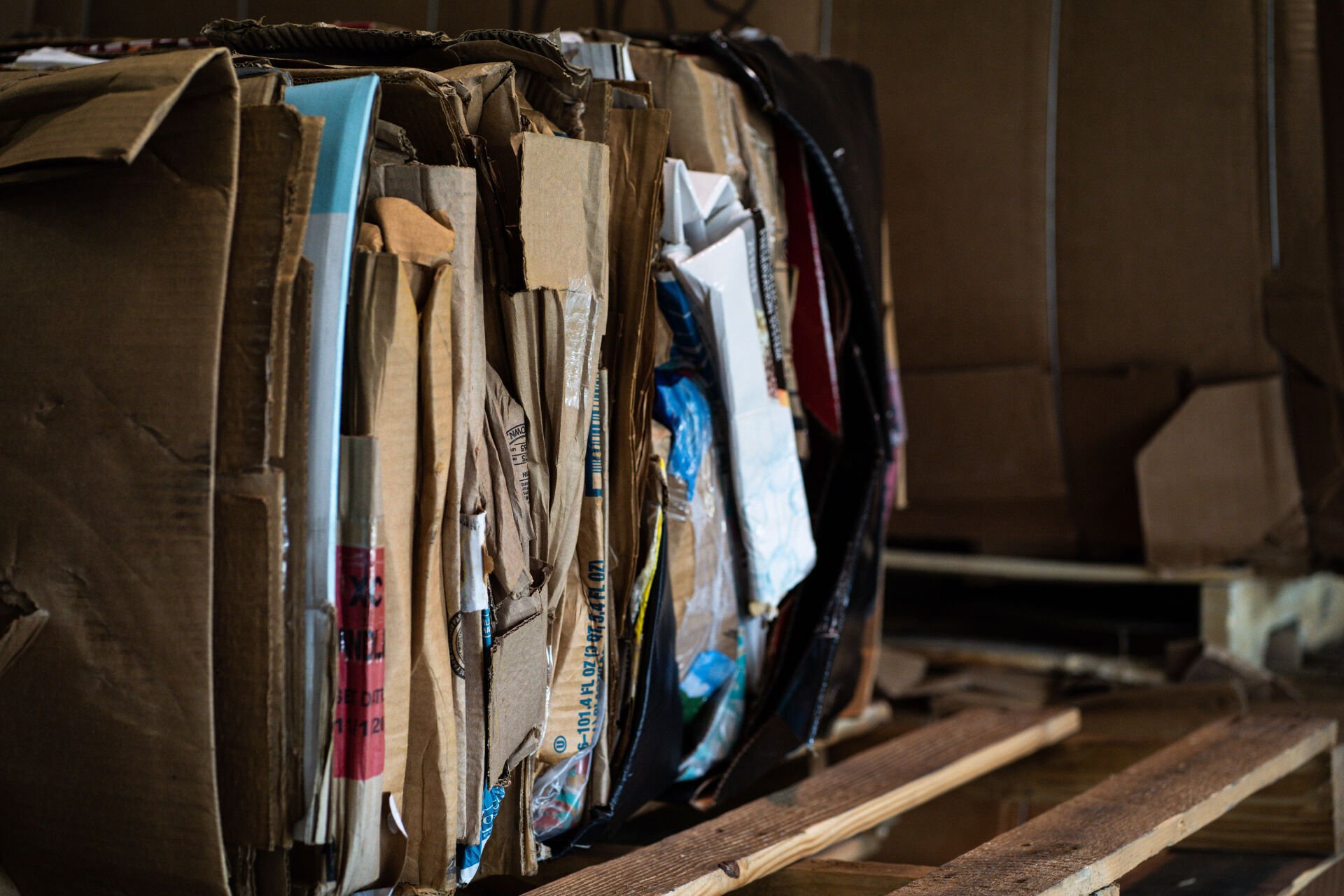 Ever Green Environmental South Carolina