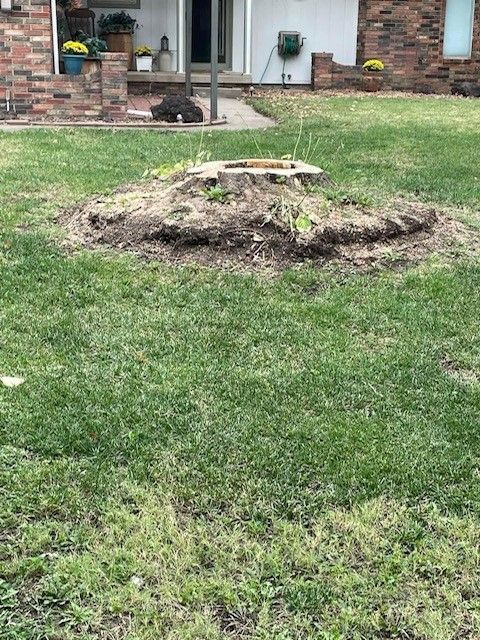 Pest Prevention — Colwich, KS — A & M Tree Service & Stump Grinding