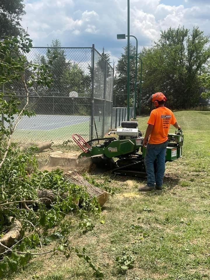 Improve Aesthetics — Colwich, KS — A & M Tree Service & Stump Grinding