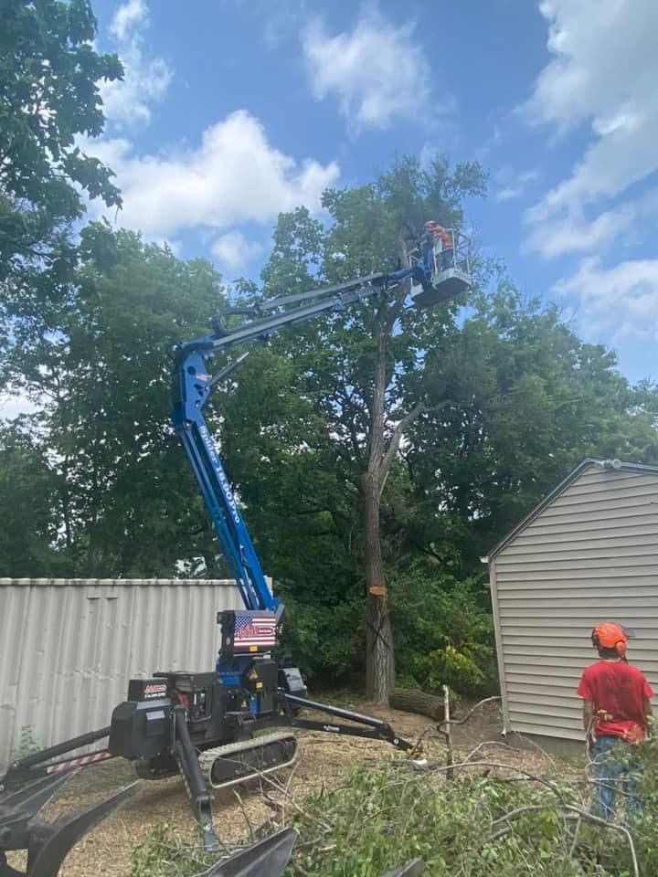 Crowded Trees — Colwich, KS — A & M Tree Service & Stump Grinding