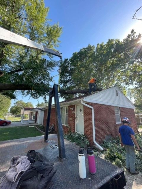 Leaning Trees — Colwich, KS — A & M Tree Service & Stump Grinding