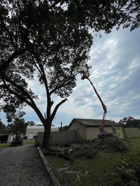Damage to Structures — Colwich, KS — A & M Tree Service & Stump Grinding