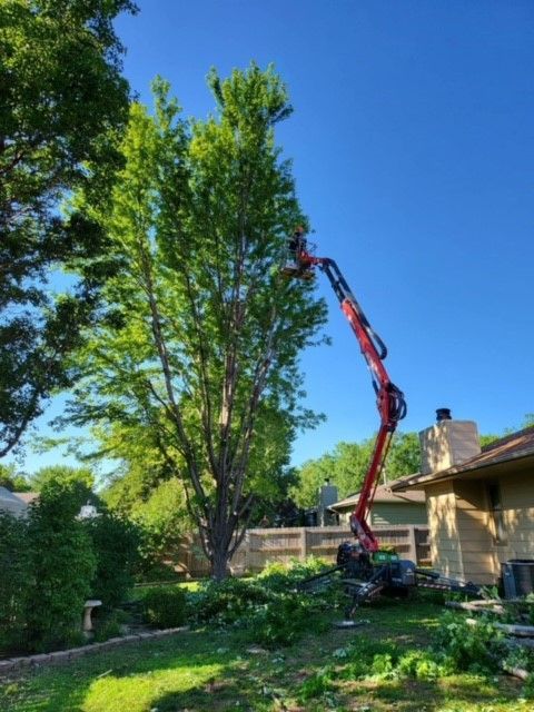 Tree and Limb Removal — Colwich, KS — A & M Tree Service & Stump Grinding