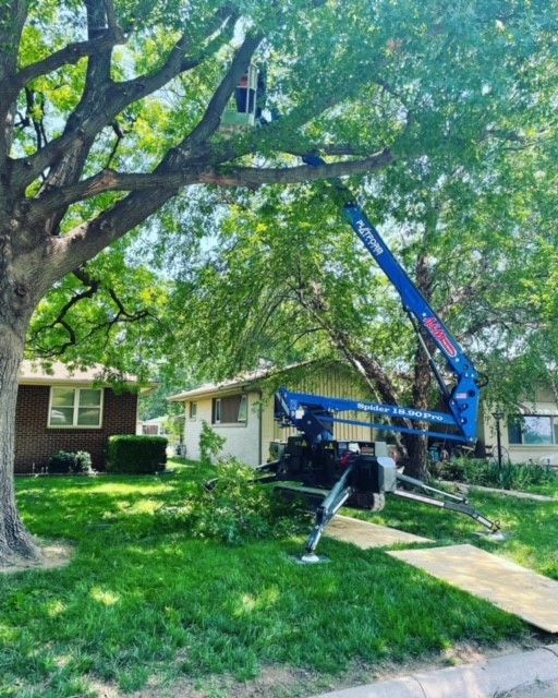 Enhanced Safety — Colwich, KS — A & M Tree Service & Stump Grinding