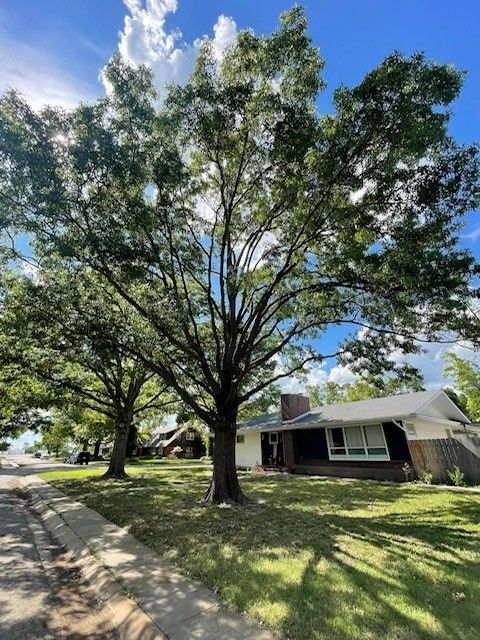 Improved Aesthetics — Colwich, KS — A & M Tree Service & Stump Grinding