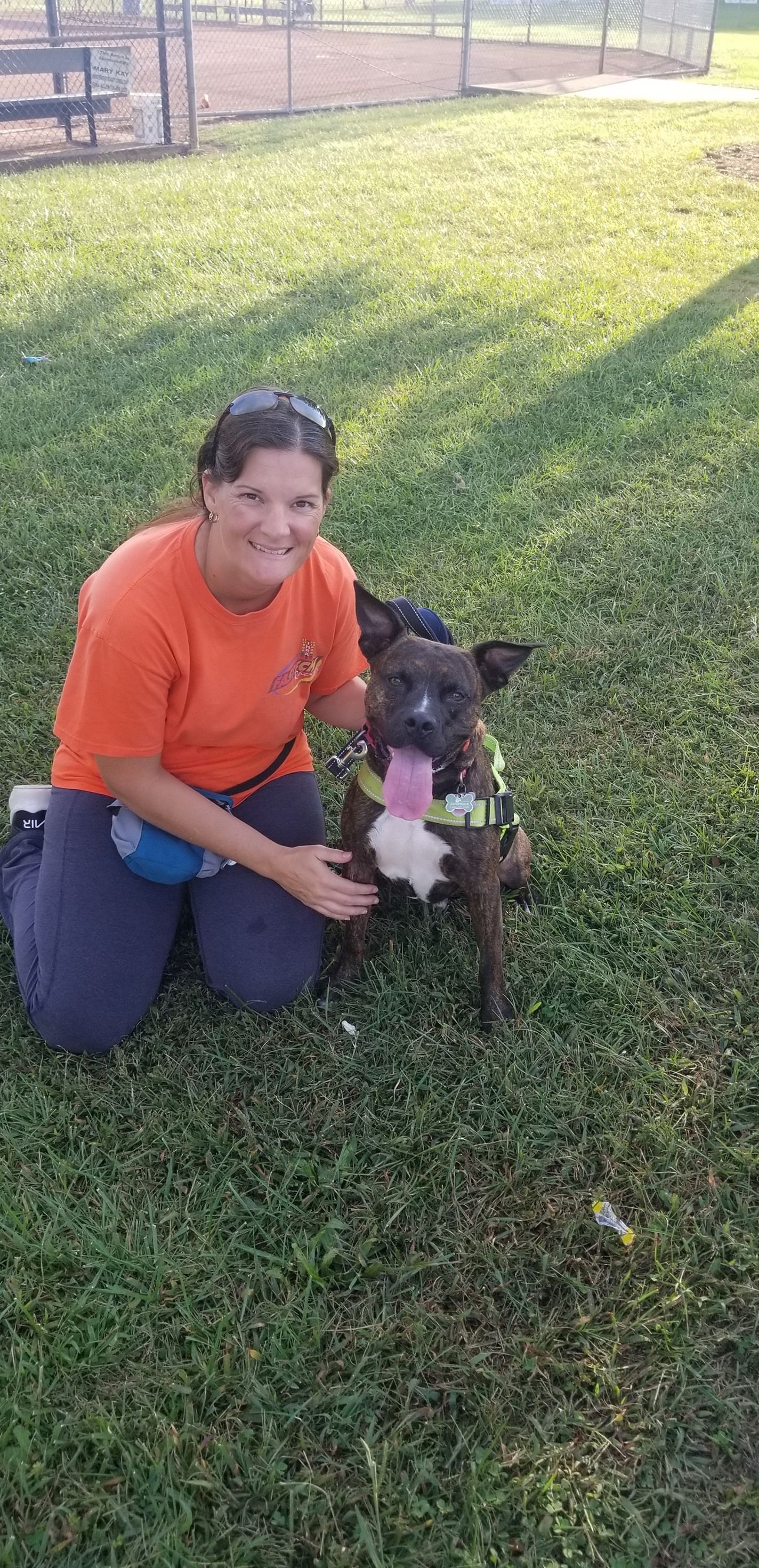 Krystle Training the Dog — Winston-Salem, NC — A Dog's Purpose