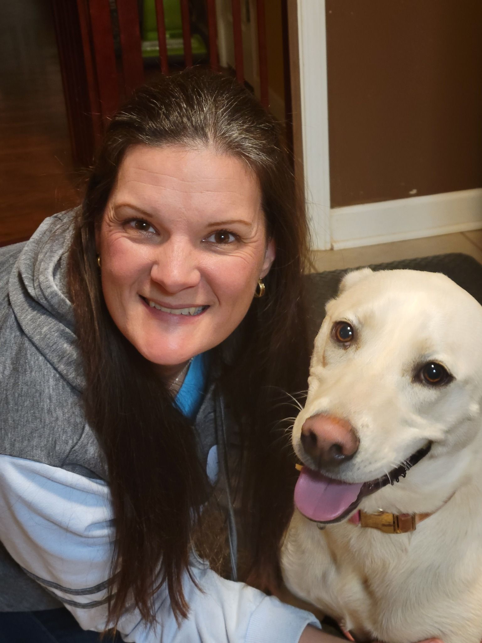 Beautiful Black Dog — Winston-Salem, NC — A Dog's Purpose
