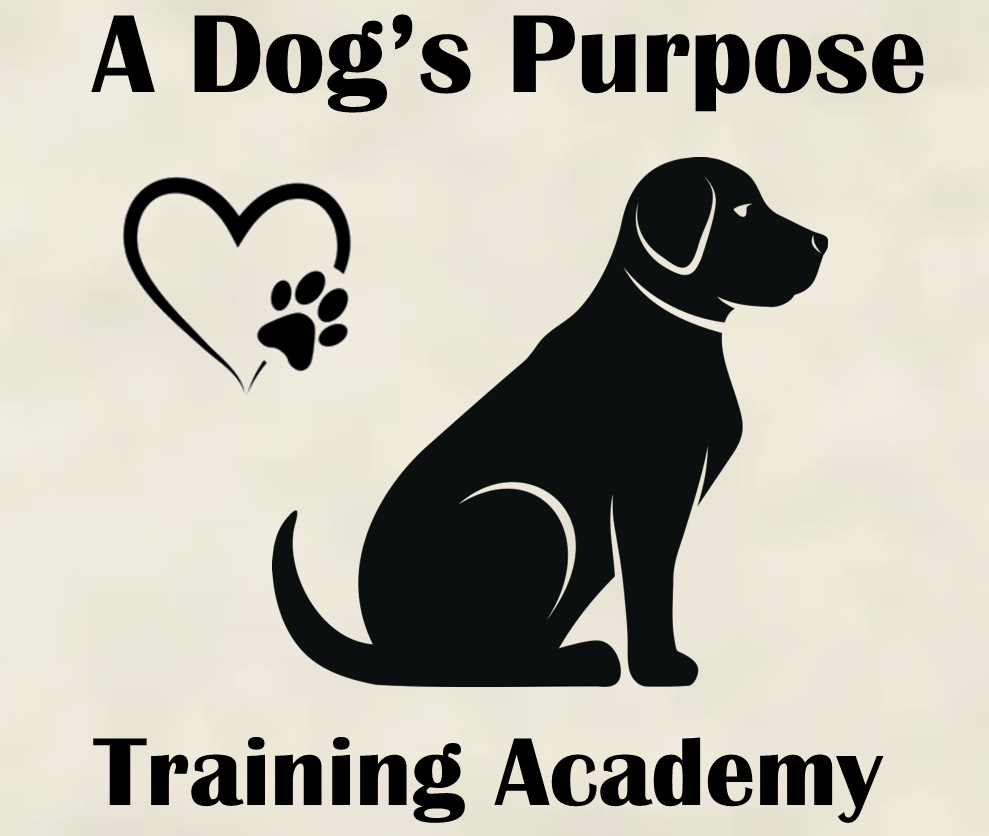 A Dog's Purpose Training Academy & Pet Photography A Dog's Purpose Training Academy & Pet Photography