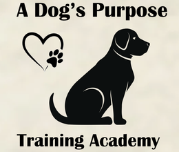 A Dog's Purpose Training Academy & Pet Photography A Dog's Purpose Training Academy & Pet Photography