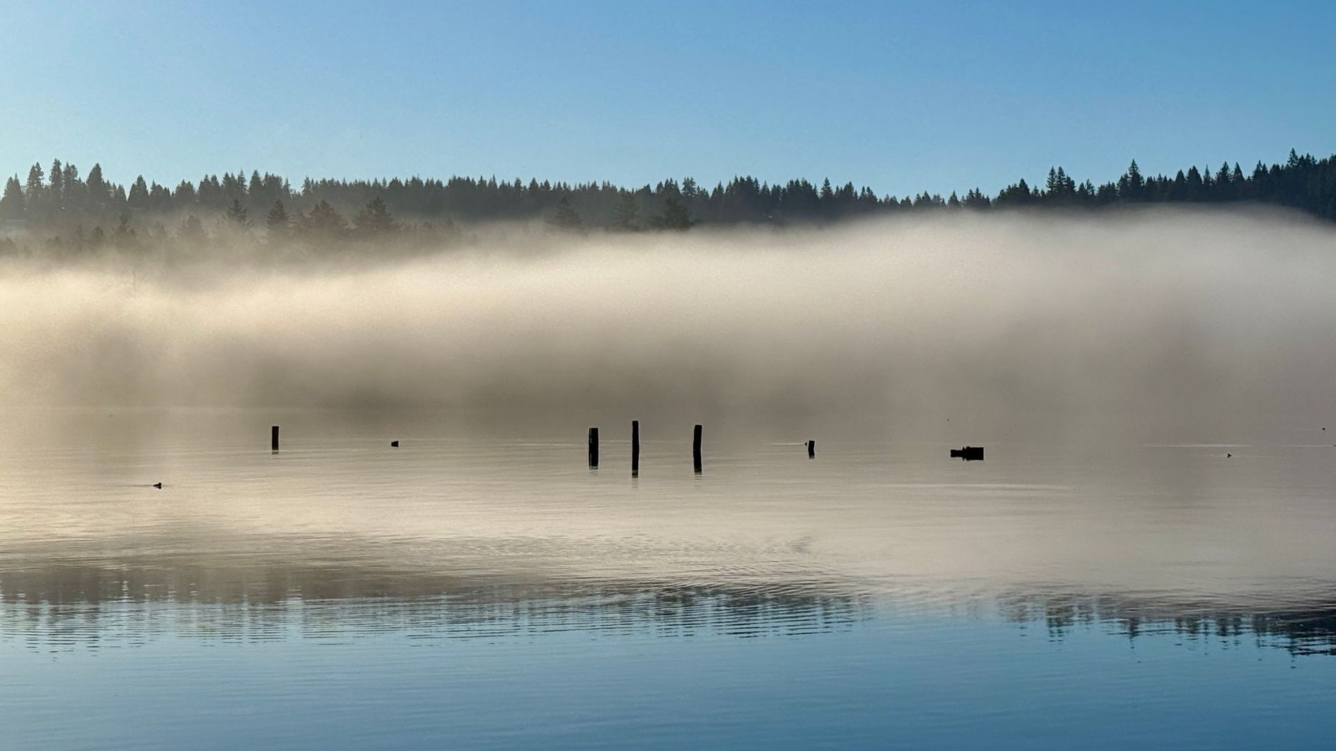 Lake scene with fog, dark wooden posts, calm water, and a hazy horizon under a clear blue sky.