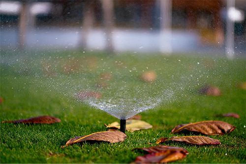 A sprinkler is spraying water on a lush green lawn.