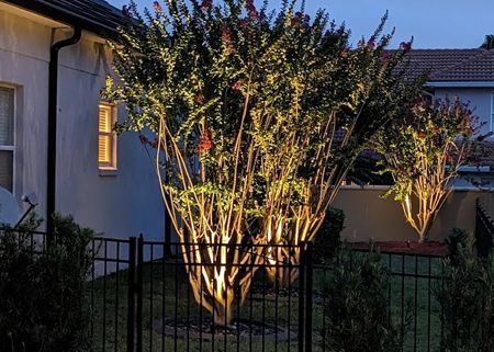A tree is lit up with lights in front of a house