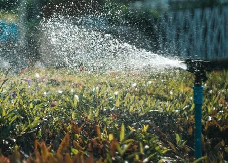 A sprinkler is spraying water on a lush green lawn.