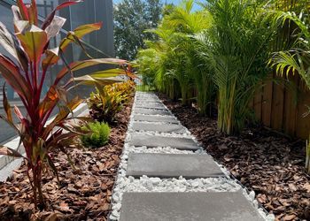 A walkway surrounded by plants and rocks in a garden.