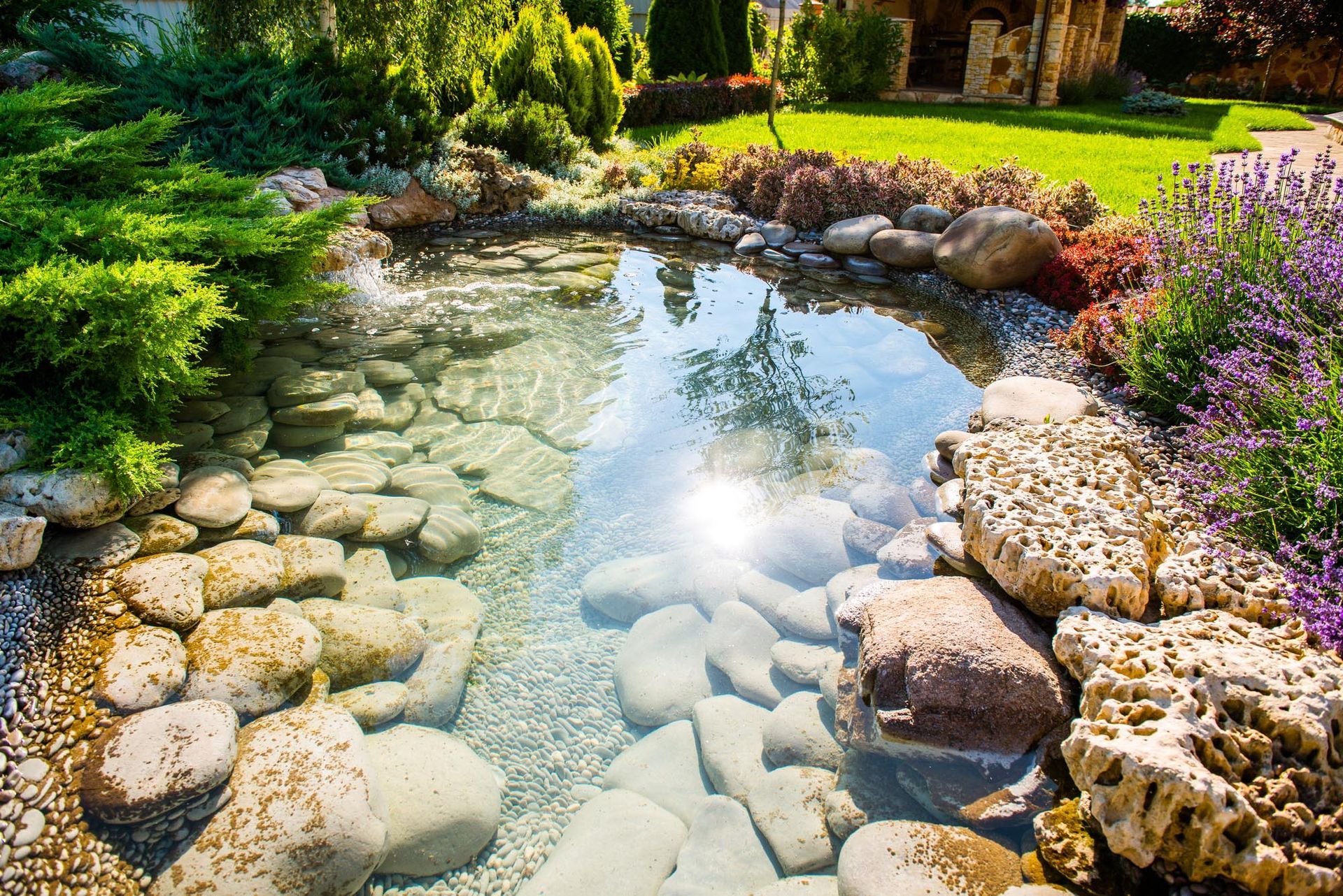 Clear garden pond with rocks, reflecting sunlight, surrounded by lush greenery and flowers
