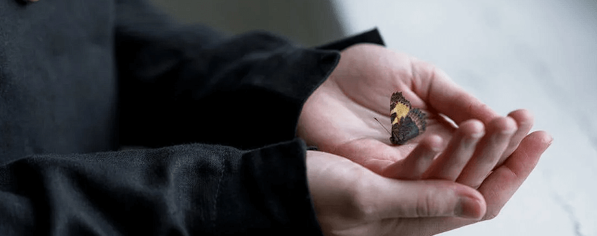 Canton GA Funeral Home And Cremations