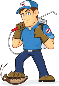 FUMIGACIONES CASA - Contamos con licencia sanitaria