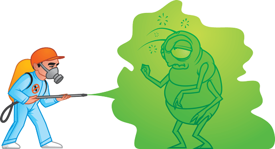 FUMIGACIONES CASA - Fumigaciones 100% biodegradables